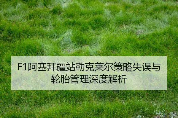 a-sai-bai-jiang-zhan-lei-ke-lai-er-ce-lve-shi-wu-yu-lun-tai-guan-li-shen-du-jie-xi-2-207.jpg