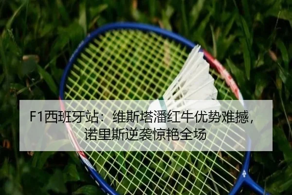 F1西班牙站：维斯塔潘红牛优势难撼，诺里斯逆袭惊艳全场
